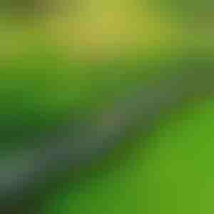 Bordură de grădină cu aspect de piatră (10 buc.) | MINIFENCE