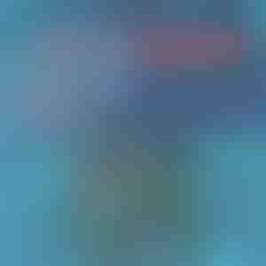 Pantaloni scurți de baie cu uscare rapidă | TOGGIES