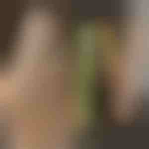 Placă pentru ondularea și îndreptarea părului TWISTLINE