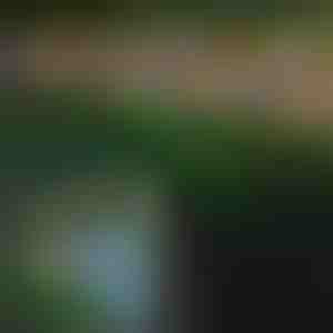 Lampă solară cu fluturi pentru exterior | FLUTIX