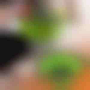 Strecurători pliabile din silicon (2 buc) | FOLDRAIN