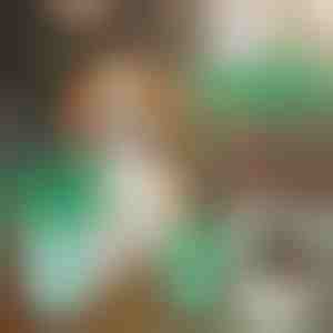 Dispozitiv de curățare pentru lăbuțele animalelor de companie | PAWSANI