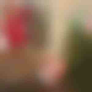 Moș Crăciun cu o parașută | SANTASWING