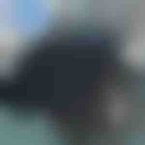 Pernă pivotantă pentru scaun | SPINPAD