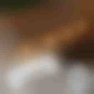 20x cleme autoadezive pentru montarea luminilor | CORDCLIP