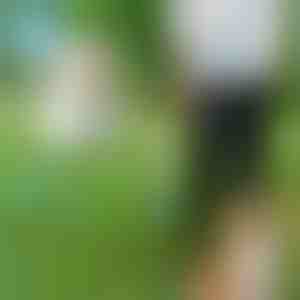 Lesă pentru câini cu mâini libere | CROSSLEASH