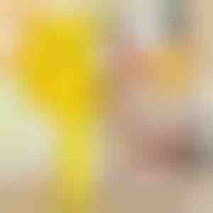 Șablon pentru dibluri | DOWELKIT