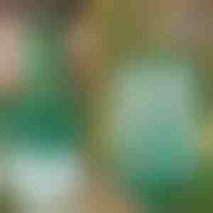 Plasă reutilizabilă pentru prinderea insectelor | INSECTA