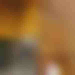 Instalație cu fulgi de zăpadă 1.8m | LEDFLAKES