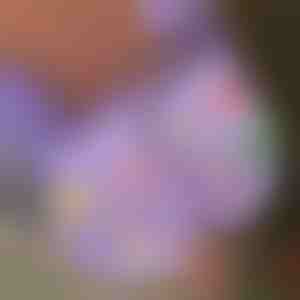 Accesorii luminoase pentru papuci de Crăciun (7pcs) | SHINETAGS