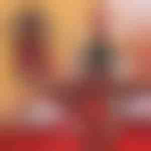 Husă pentru sticle de vin | VINOPOUCH