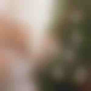 Ornamente de Crăciun cu suport pentru bani (4pcs) | WEALTHMAS