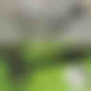 Instrument de scos buruieni | RUNCO