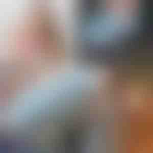 Perie 2 în 1 pentru îndepărtarea părului de animale de companie | ALLFUZZ