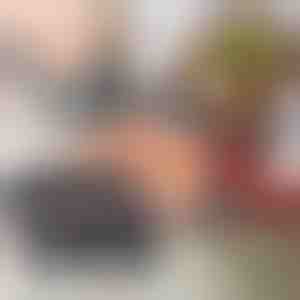 Gheare pentru carne | CLAWMASTER