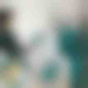 Mini fier de călcat cu aburi | FERROLITE