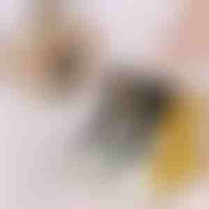 Șosete cu imprimeu de lăbuțe de pisică (3pcs) | GATOSOCKS