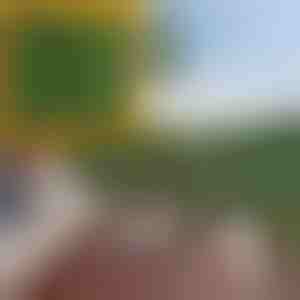 Panou cu frunze artificiale | LEAFPANEL