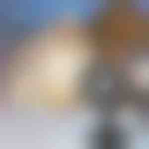 Proiector LED cu fulgi de nea | SNOWLAMP