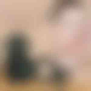 Fond de ten + aplicator în formă de ciupercă | MUSSBALM