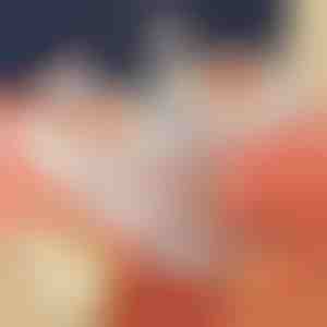 Mașină pentru paste | DUMPLINGPRO