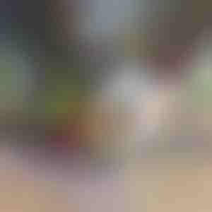 12 în 1 tocător și feliator de legume | CHOPMASTER