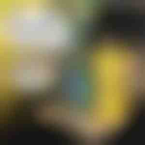 Măsuță pliabilă multifuncțională pentru mașină | MUNCHI