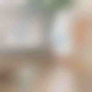 Peria rotativă electrică pentru curățare | ROTOBRUSH