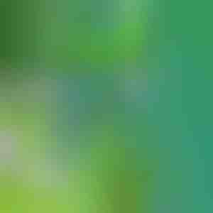 Un instrument pentru îndepărtarea buruienilor | SPINOUT