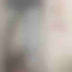 Plasa de tantari magnetica pentru usi | INSECTPROTECT