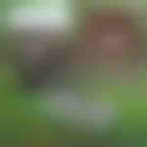 Unealtă multifuncțională pentru întreținerea solului în grădină | PRONGSPRO