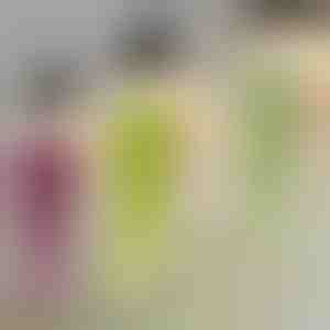 Plantă decorativă suspendată | IVYORA