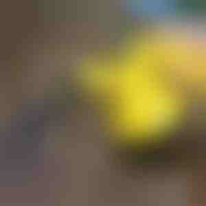 Curățător cu abur pentru dezinfecție | VAPERO