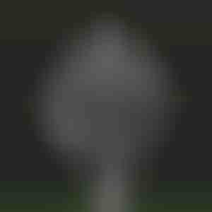 Moară de vânt kinetică pentru grădină | WINDARA