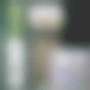 Distribuitor de pastă de dinți și suport pentru periuțe | BRUSHBASE