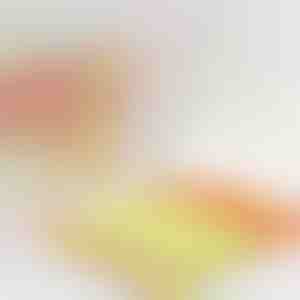 Curățător de jaluzele care reduce timpul la jumătate | BLINDY