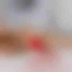 Jucărie pentru animale care se mișcă la atingere | GATOPLAY