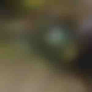 Roabă pliabilă | TROLLYFOLD