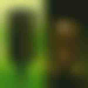 Lampă solară (set de 2 buc) | GARDENIAS