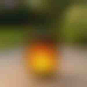 Lampă solară cu efect de flacără | FLAMLUX