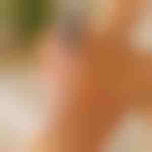 Pilă pentru picioare netede și fine | PEDIVIA