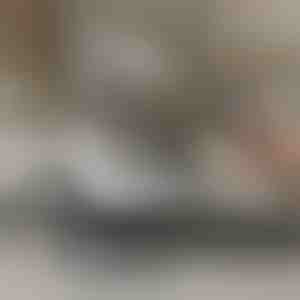 Aparat de curățat cu abur sub presiune | STEAMAX