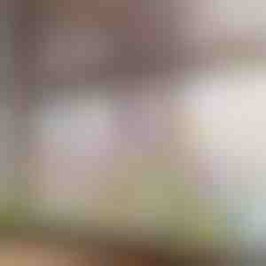 Autocolant floral vibrant pentru fereastră | FLORASTIK