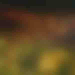 Ghirlandă luminoasă solară cu 6 becuri LED | SOMPEX