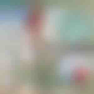 Cârlig telescopic metalic pentru barcă | FASTDOCK