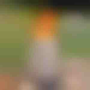 Arzător portabil fără fum | FIRENOVA