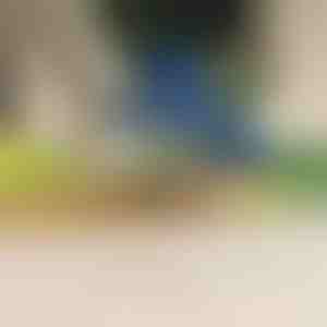 Curățător electric pentru fructe și legume | PEELMATIC