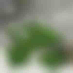 Plăci din iarbă artificială pentru decor (5 buc) | GRASSTILE