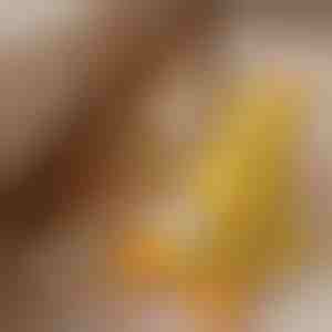 Jucărie calmantă din pluș pentru câini cu sunet de măcăit - reduce anxietatea de separare | CALMQUA